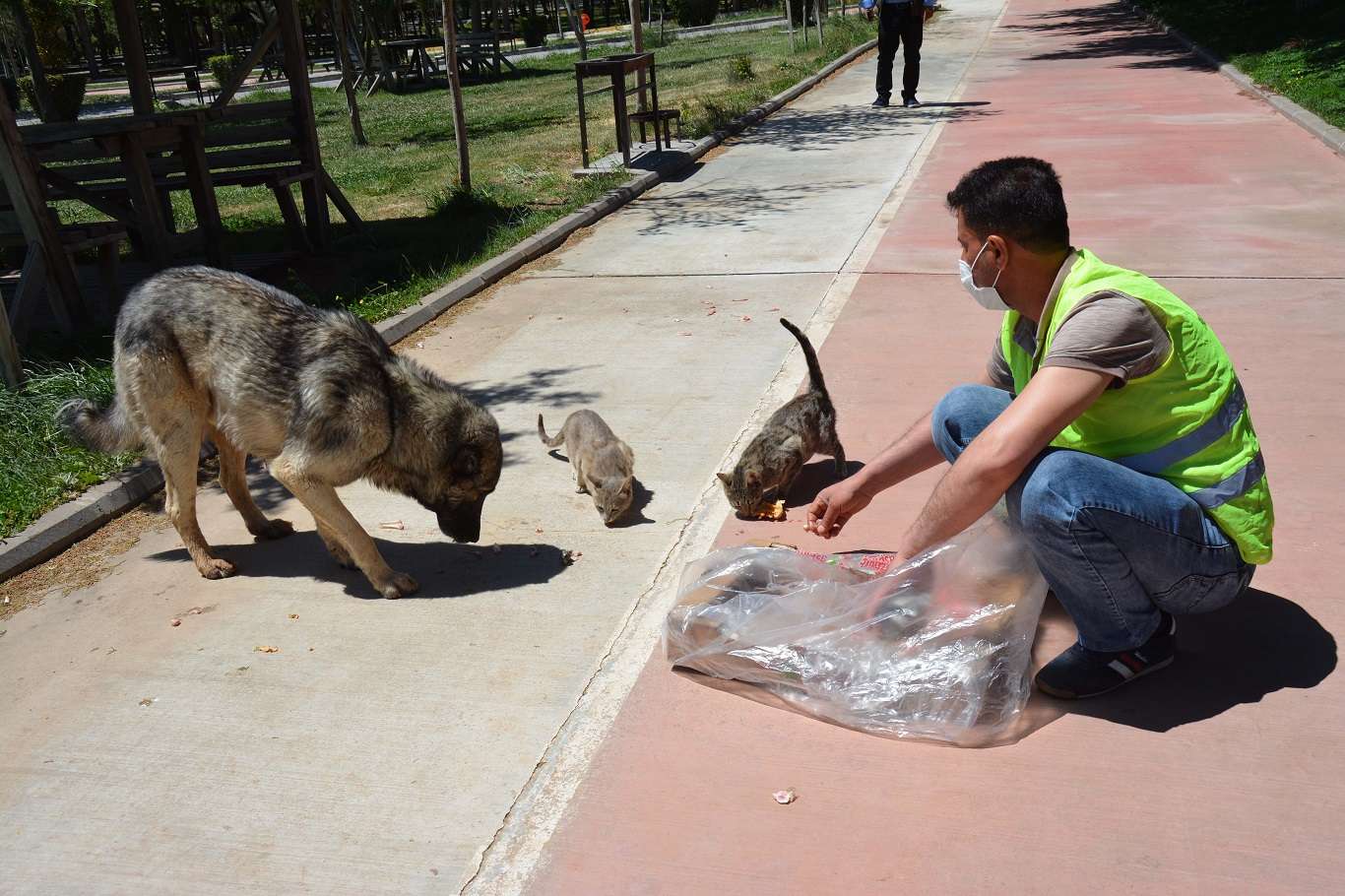  Siverek Belediyesi yavru köpeğe ötenazi yapıldığı iddialarını yalanladı